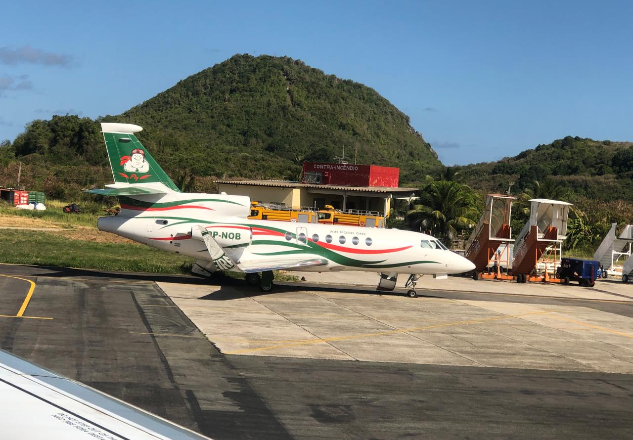 Juliano Lorenz Oscar on Twitter: "Um amigo meu foi pra Fernando de Noronha. No desembarque tava o avião particular do Paulo Nobre, ex-presidente do Palmeiras. Quando for rico vou ter um desses