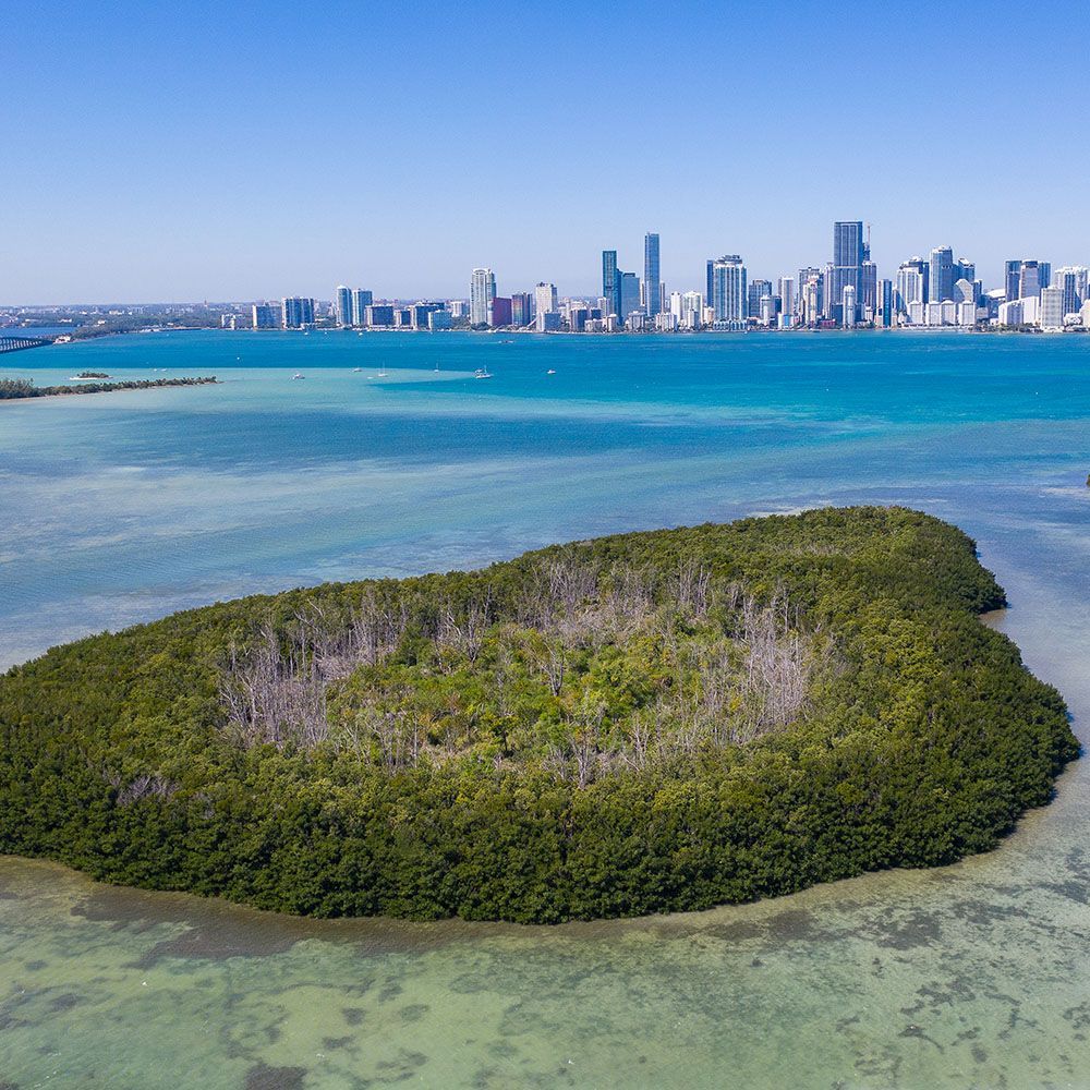 MiamiWaterkpr's tweet photo. Congratulations to @irelabague for being named as Miami-Dade's first ever Chief Bay Officer! Miami Waterkeeper looks forward to continuing our collaboration with you to protect Biscayne Bay! https://t.co/PSMucJ7Dwa