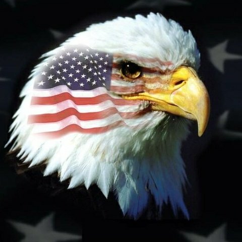 ablackford27's tweet photo. #NewProfilePic https://t.co/gMdsOqGho3