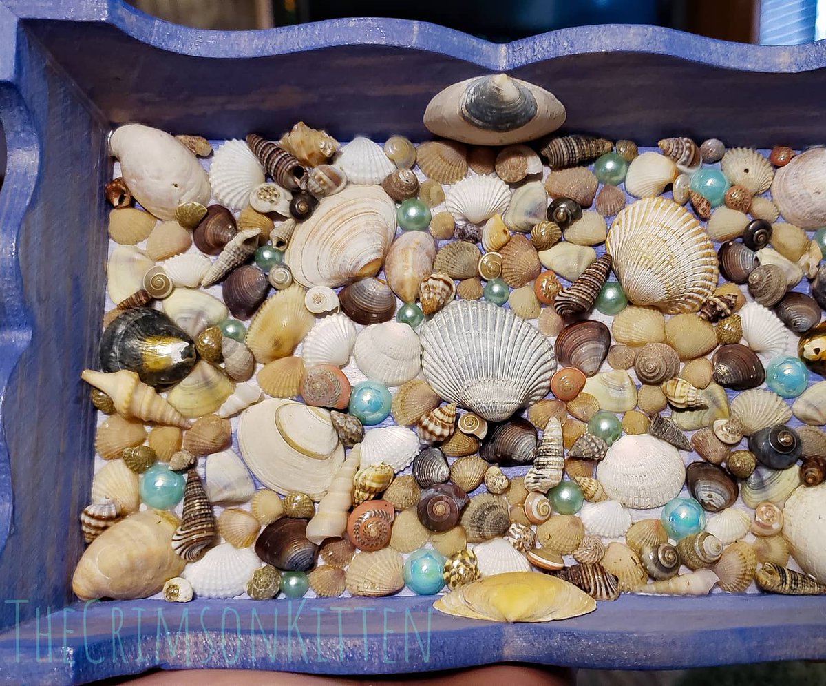thecrimsonkitty's tweet photo. 🐚💜A purple, shell filled tray I made as an Xmas present, featuring seashells from @oceancitymaryland NFS💜🐚
#seashells #shells #seashellcrafts #oceancitymaryland #shellcrafts #seashellart #seashelldecor #ocean #nature #jewelrytray #handmade #woodcrafts #beachvibes #beachdecor https://t.co/n67mpredN2
