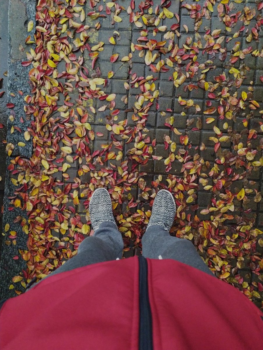 Sin los lentes / con los lentes