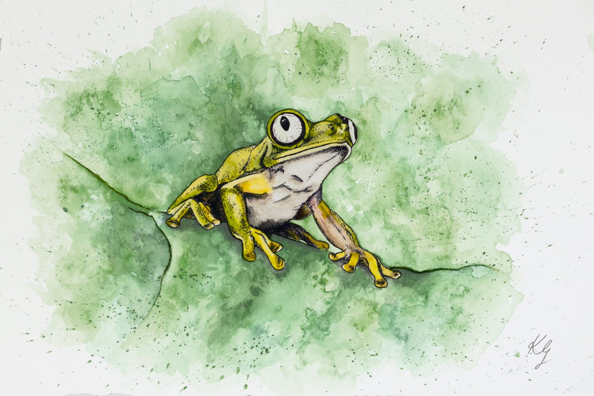 katieggarrett's tweet photo. I’m Katie, I’m a filmmaker and I paint watercolour in my spare time. My art is usually inspired by amphibians! #PortfolioDay  #SciArt #HERper https://t.co/kZwfD0x41h