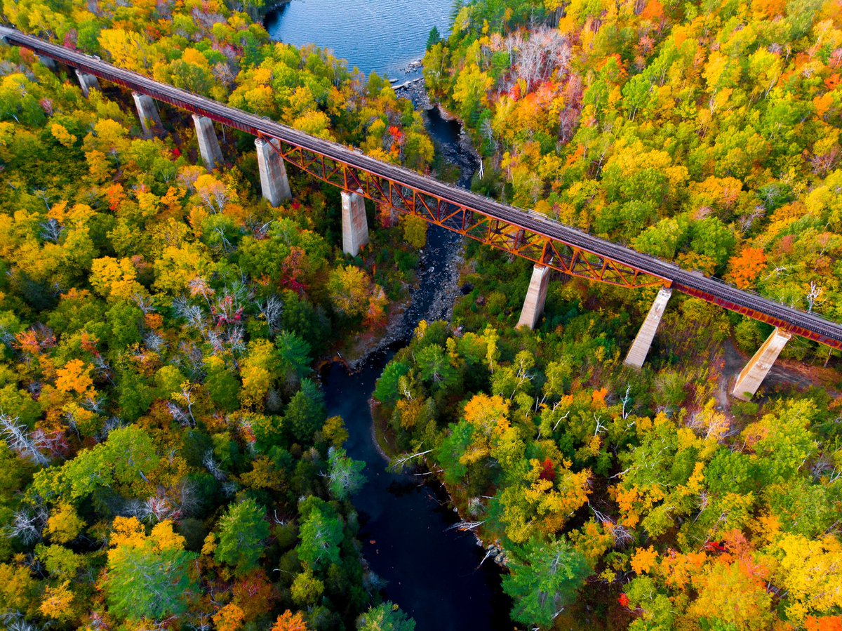 SevenValued's tweet photo. Welcome to Maine (Part Five) https://t.co/caZeMv1QiJ