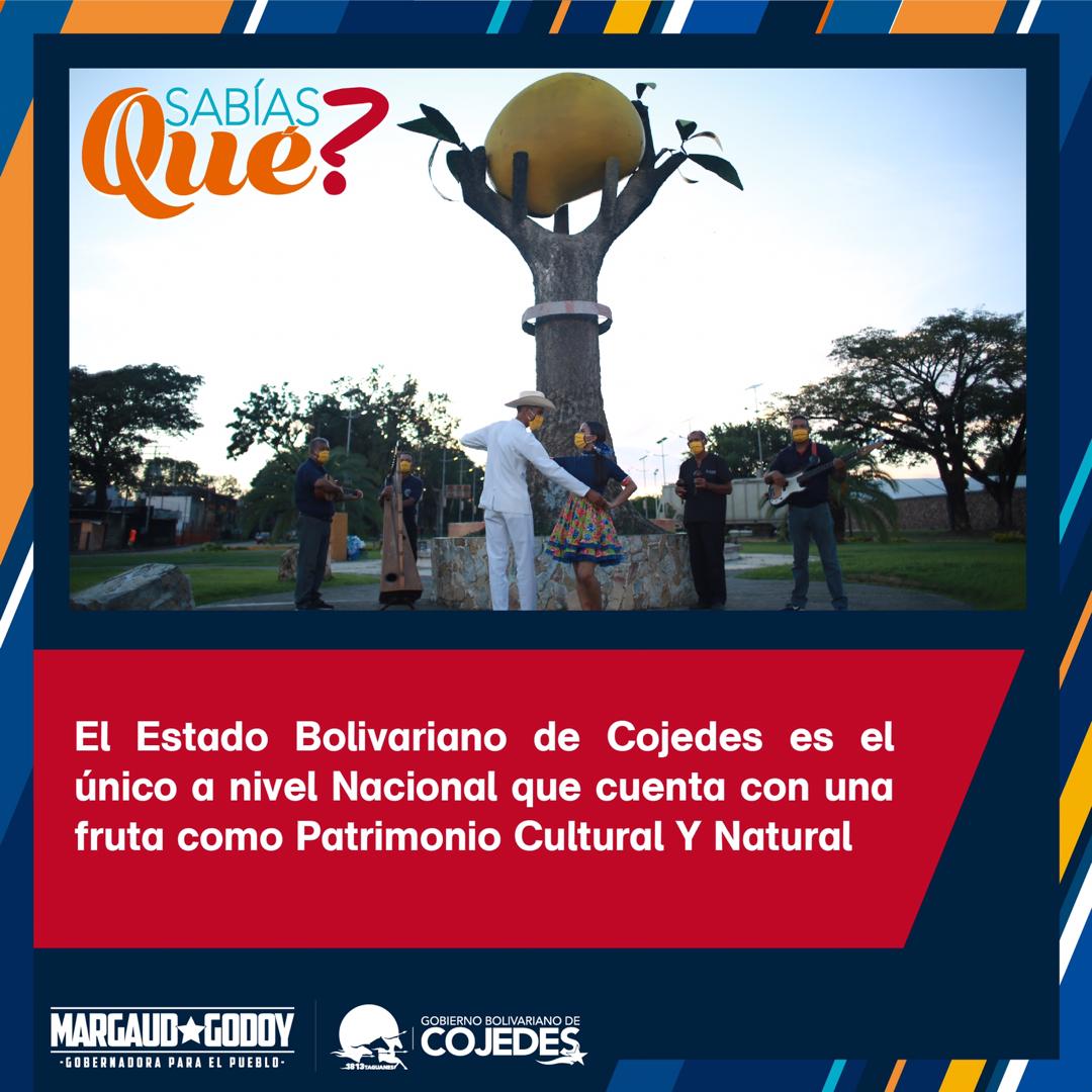 Gob_Cojedes's tweet photo. El 🥭 fue declarado en 1994, como símbolo y patrimonio público de nuestro municipio capital Ezequiel Zamora, es por eso que debemos crear y elevar conciencia ciudadana de preservación de su valor.
•
Si te gustó y te sientes orgulloso de ser cojedeño, dale me gusta y retweet❤️ https://t.co/YsmuiGKWTr