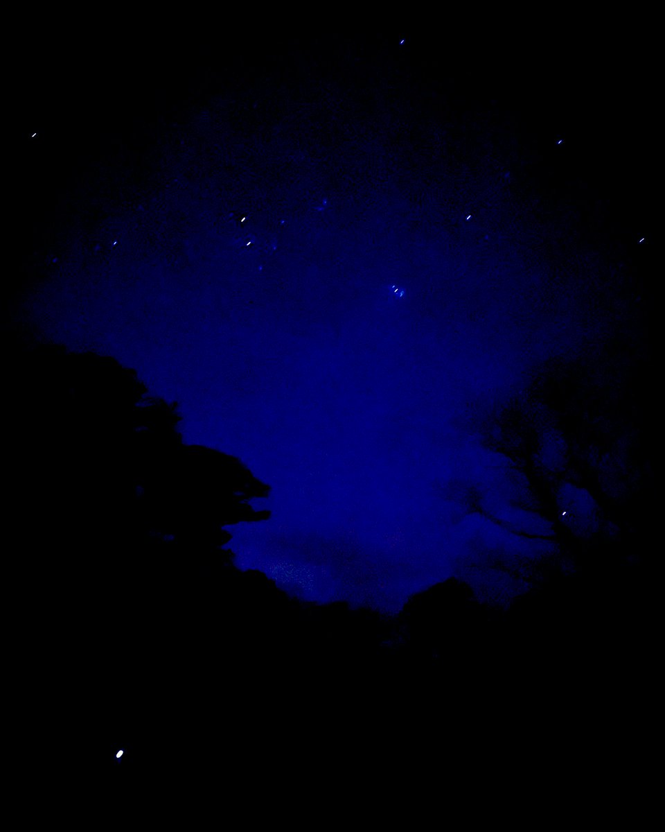 AisforAtom's tweet photo. Under the starry skies

#constellations #stars

#indiemusic #aisforatom #nycmusician #NYCMusic #UpstateNY #BrooklynMusic #SingerSongwriter #Indiefolk #BKmusician #alternative #unsignedartist #alternativerock #musician #rock https://t.co/SFkvErAIlB