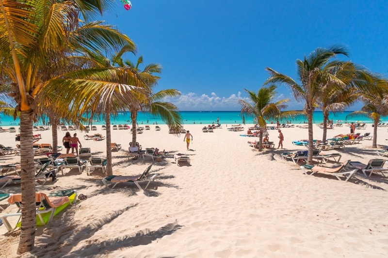 MyMMVacation's tweet photo. I pick the palm tree on the far right. Lots and lots of beach-bubble space on Playa Del Carmen's Playacar in Mexico. https://t.co/zh2SCflLHi