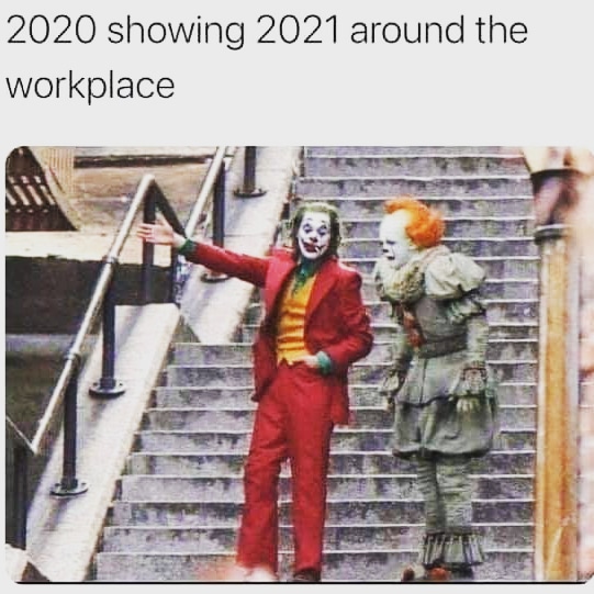TonyDavy's tweet photo. Introducing a new member of staff. #MemesDaily #ShowingTheRopes #Year2021 https://t.co/YdG77jYhmU