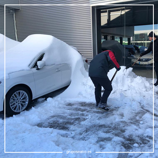 gruposealco's tweet photo. El equipo de profesionales de Grupo Sealco trabaja duro para poder reanudar cuanto antes el servicio habitual a nuestros clientes.
Esperamos verles muy pronto.

#gruposealco #Seat #Volkswagen #Audi #SKODA #Cupra #Alcorcon #Mostoles #Madrid #Filomena #MilladelMotor https://t.co/zyAOSiPsGw