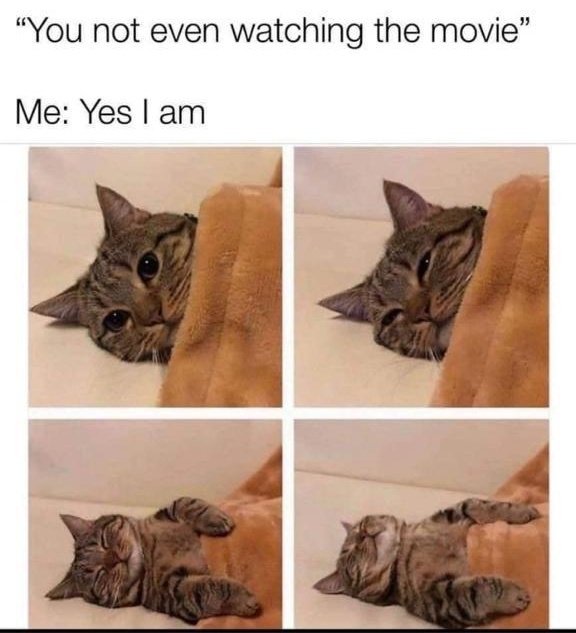 Marisol Ricci (@riccimarisol) on Twitter photo 