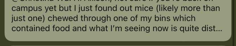 rbgkilla's tweet photo. I’ve been too scared to open this message from my resident all day https://t.co/UMMVq4MklI