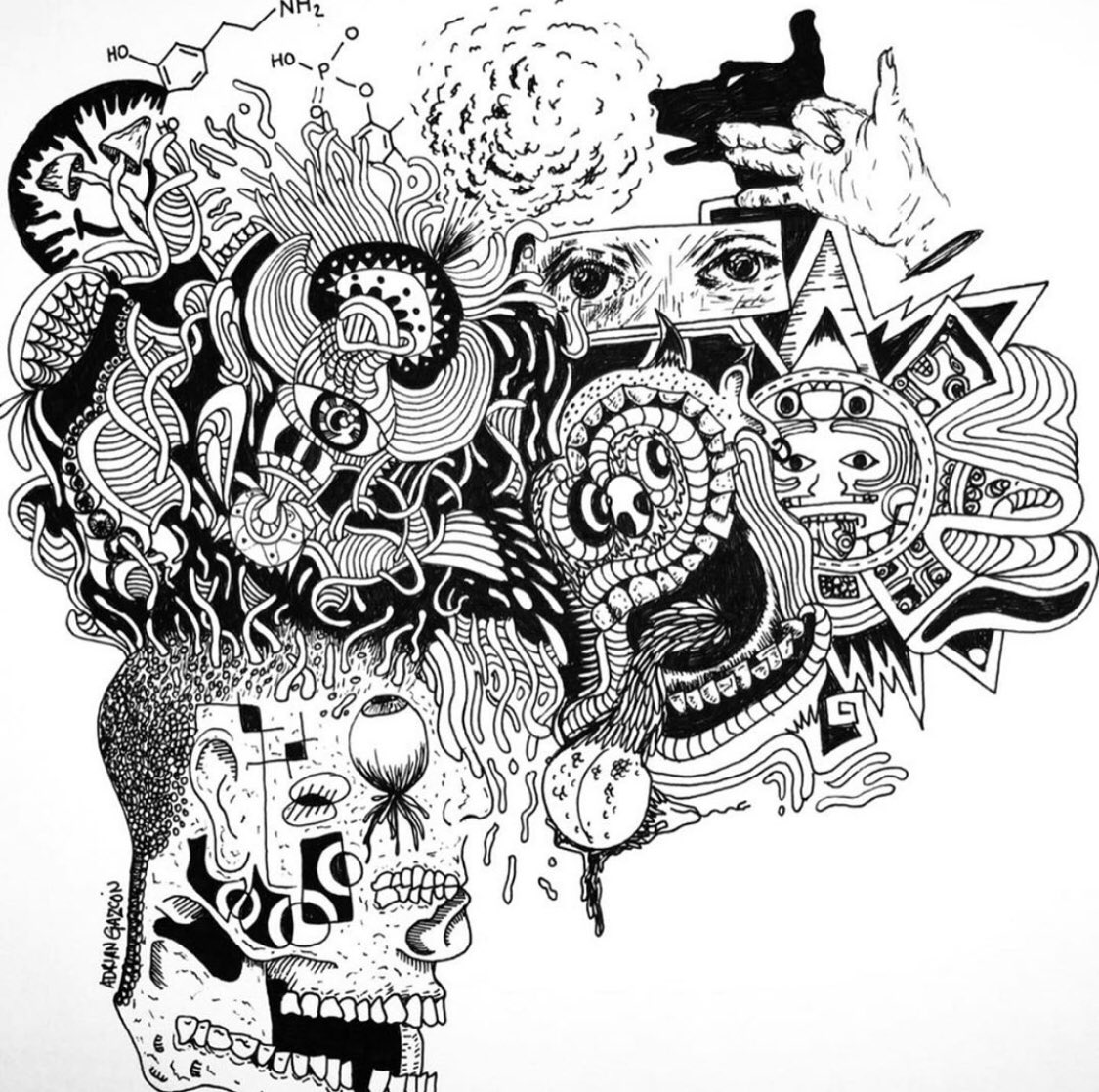 AdrianGazcon's tweet photo. #PortfolioDay https://t.co/oBkYABntvR