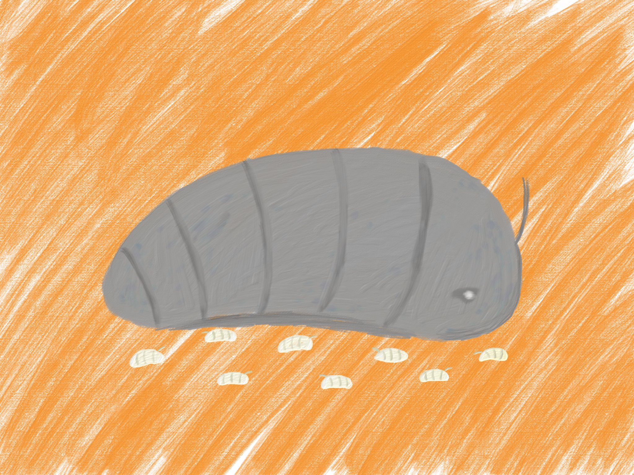 تويتر Aki かわいい子供 動物イラスト描きます على تويتر ダンゴムシママとダンゴムシ赤ちゃん イラスト イラストレーター 絵描きさんと繫がりたい イラスト好きな人と繋がりたい 冬の創作クラスタフォロー祭 みんなで楽しむtwitter展覧会 T Co تويتر Aki かわいい子供 動物イラスト描きます على تويتر ダンゴムシママとダンゴムシ赤ちゃん イラスト イラストレーター 絵描きさんと繫がりたい イラスト好きな人と繋がりたい 冬の創作クラスタフォロー祭 みんなで楽しむtwitter展覧会 T Co