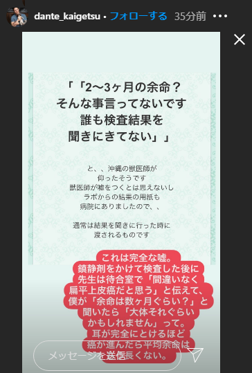 Mayarain 読み返すと獣医は嘘を言っていない かも知れない はイコール でないかも知れない と同義 余命を伝えていない という獣医側の正しさがdの口から証明されたようなもの 余命 を 執拗く尋ねられた先生には同情するしかないが Tdsの予定
