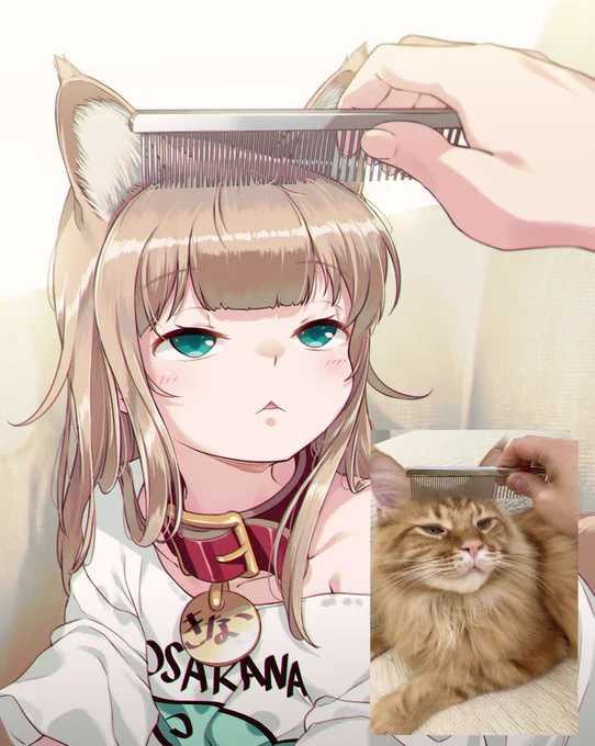 ブラッシングされるきなこを描いてみた?
#うちのねこが女の子でかわいい 