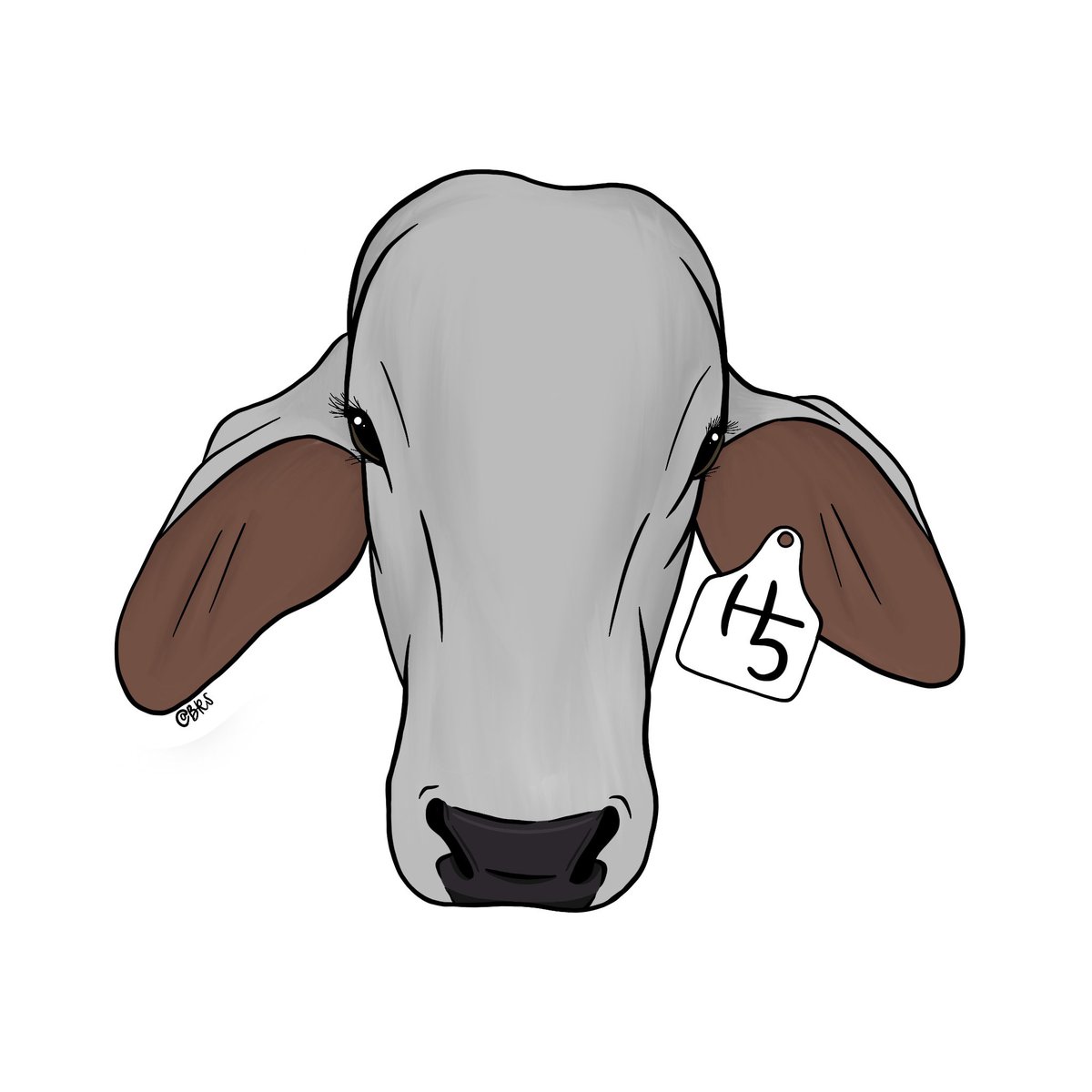 Bison Range Studio tweet media