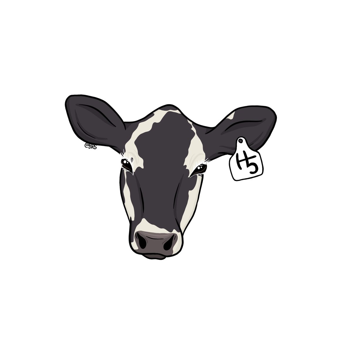 Bison Range Studio tweet media