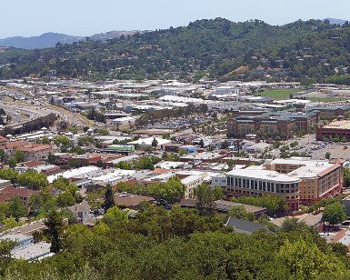 maringov's tweet photo. We are partnering with @medasf to distribute small grants and loans to #MarinCounty small businesses that have lower-wage employees hurt especially hard by the #COVID19 #Pandemic.
https://t.co/FZQHAAAMKx #MarinBusiness #BayAreaBusiness @TweetNovato @CityofSanRafael https://t.co/RSD4Df24Ss