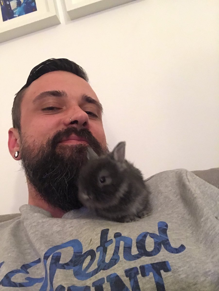 beardoweirdo6's tweet photo. https://t.co/Ln85R1ftCB
