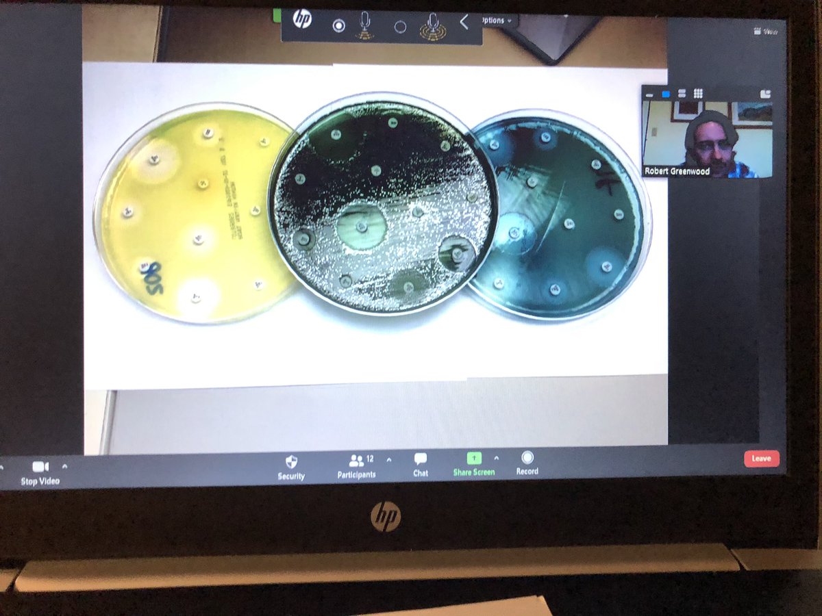 PatriotsPhhs's tweet photo. Real-World Connections! Ms. Scheele's ACA Bio class met with Mr. Greenwood to speak on his job as a Medical Laboratory Specialist at VCU. Students learned about how he is trained to work with dangerous organisms like Ebola and other hemorrhagic agents. #PHamily #uniPHied https://t.co/uOJqUh1NOE