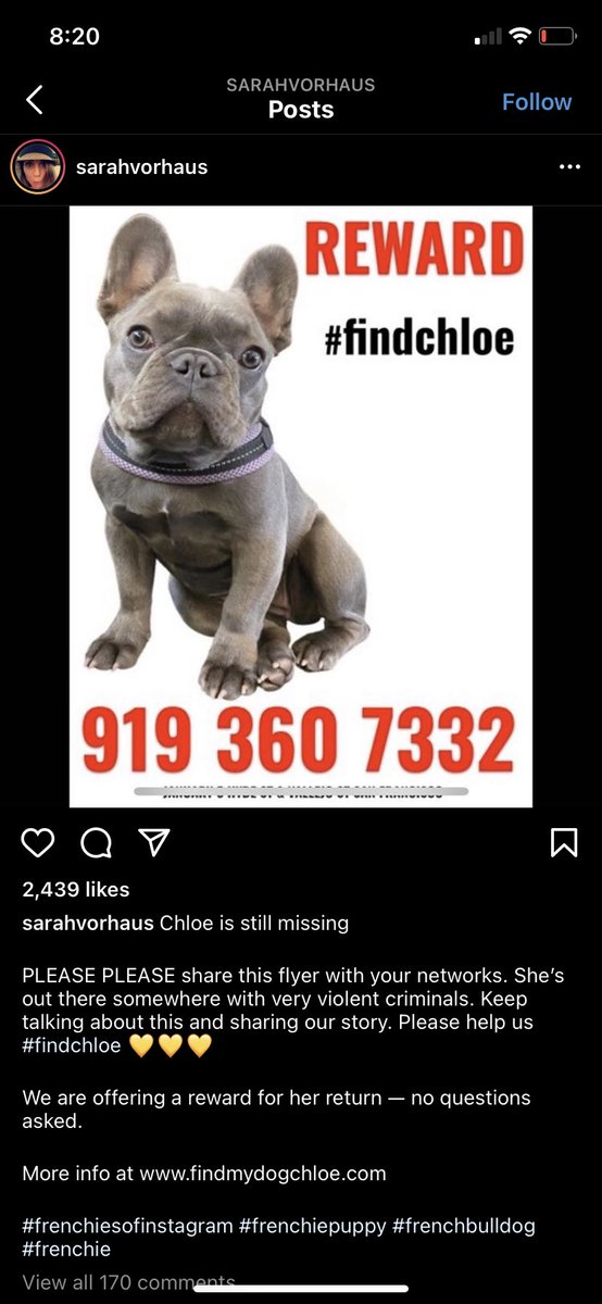 shelbee_rain's tweet photo. Help find these men who attacked my sister’s friend and stole her puppy 💔 https://t.co/vFkdo8tZya