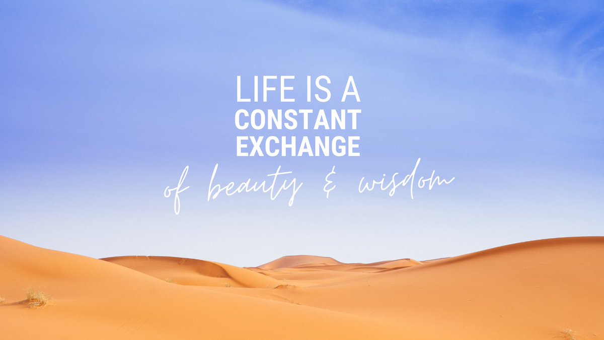 Broken_Coder__'s tweet image. °-°