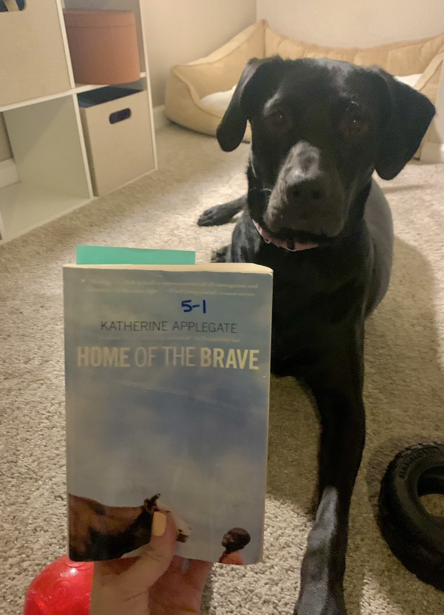 Great book... even better reading buddy! Charli joined me on making some read aloud videos for our class! 🐶🥰 She loves to help making reading fun for us!!!