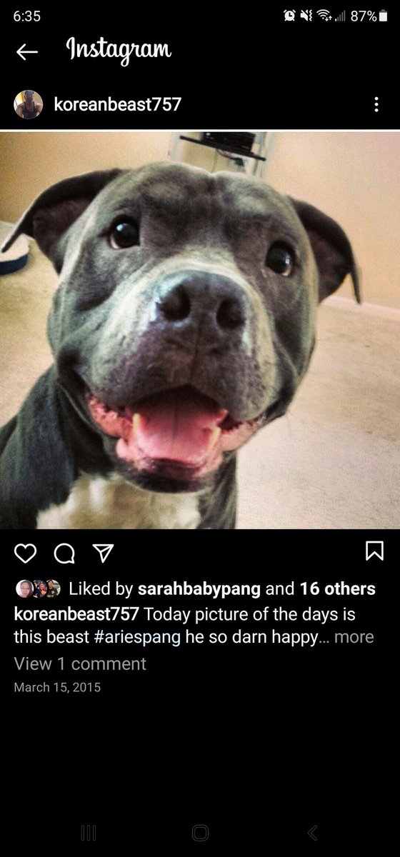 R.i.p Aries, miss you and love you always. No more in pain.