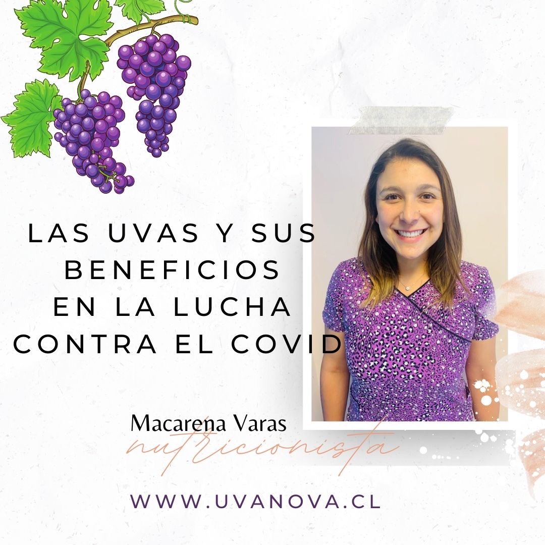 UvanovaChile's tweet image. Uvanova conversó con la nutricionista Macarena Varas para conocer más detalles sobre los aportes nutricionales de las uvas a nuestra salud.

«Una porción de uva equivale a una taza de 200 cc, así que disfruta de una alimentación saludable y cuídate», recalca la nutricionista.
