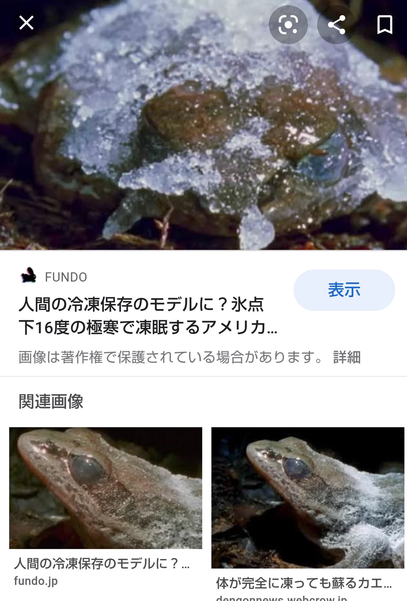 @Chiro_chan_neko @Akarin_BF4 画像のヤツは置物かなんかじゃない？本物は茶色↓アメリカはワニも氷漬けで冬眠するから他にも居そう… 