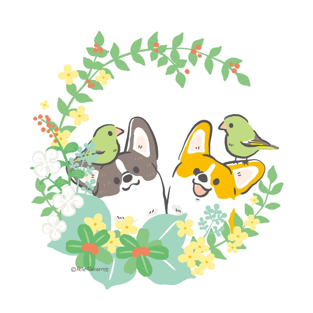 「Hi #PortfolioDay I'm Rie, a Japanese ill」|サカモトリエ/イラストレーターのイラスト