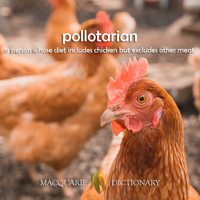 MacqDictionary's tweet photo. Are you a person whose diet includes chicken but excludes other meat? #pollotarian Six more new words at the link. https://t.co/uERDnHvS5j https://t.co/F9kDzgm2A2