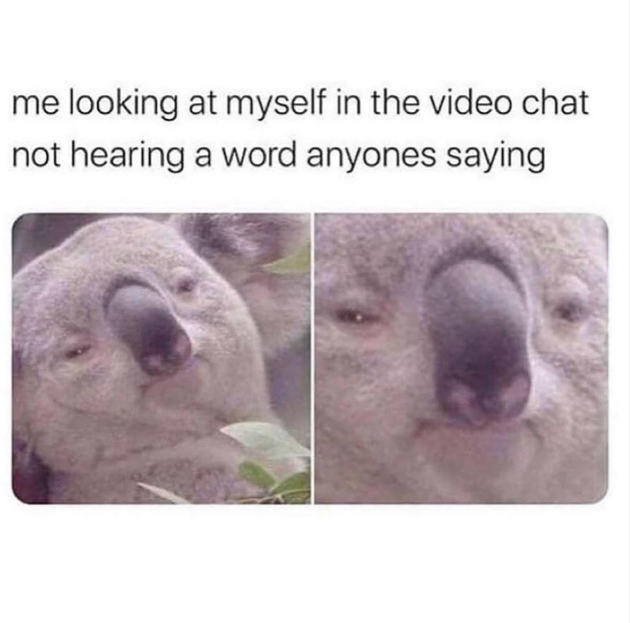 Anyone else getting Zoom fatigue? ⁠
⁠
⁠

#ThriveSavings #zoom #zoommemes #studentstruggles  #student #studentlife #online #ecommerce #shopping #creditcard #creditcarddebt #memes #funny #relatable #collegelife #education #onlinelearning #virtuallearning #college #collegememes