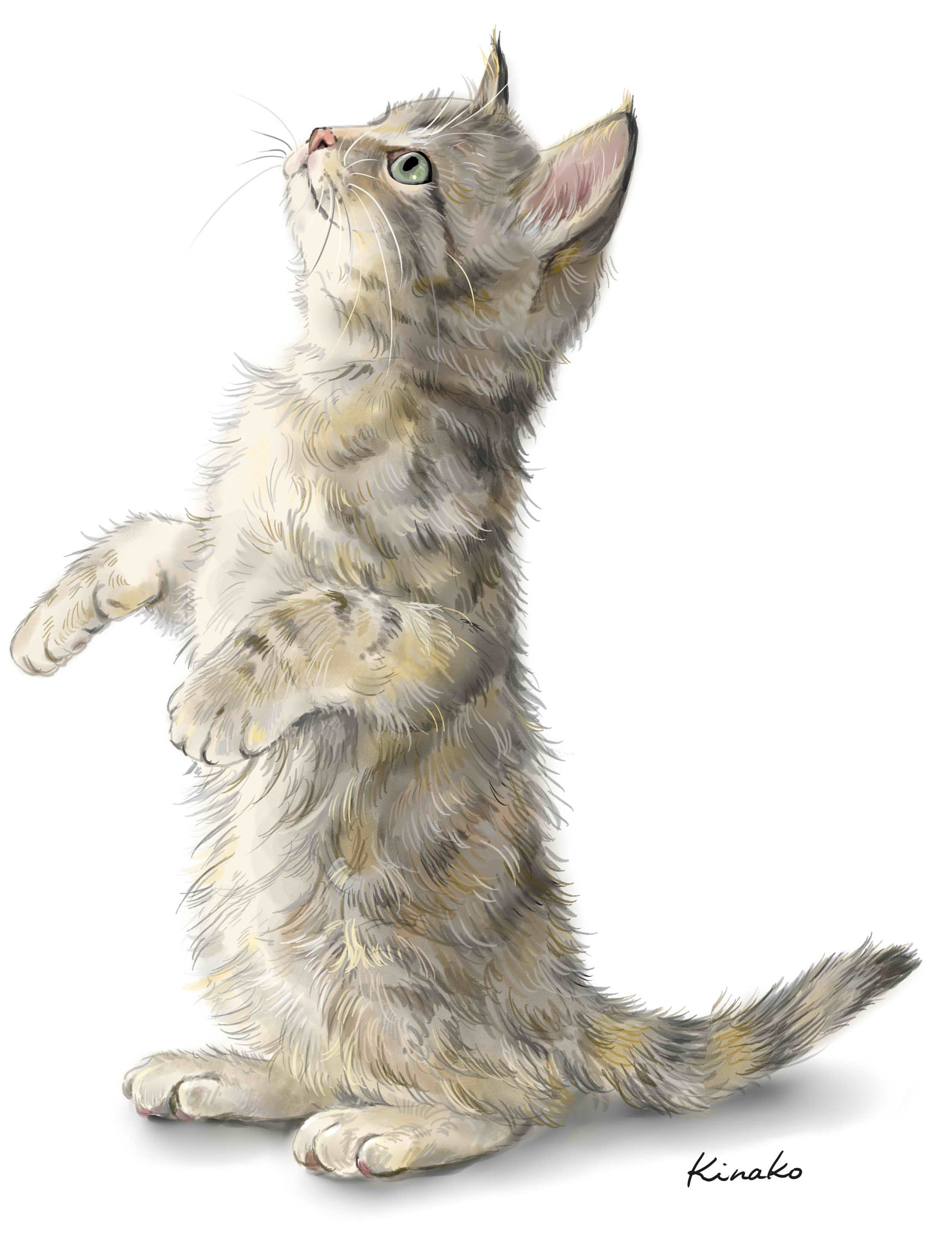 きなこ 猫の絵を描いています 里親会の友人に ジャンプ猫に続いて 立ち上がってじゃれたりしている猫のイラストを頼まれたので これからいくつか描いていきたいと思います このところ このような依頼が入ったので リアルな猫絵ではなく イラストを