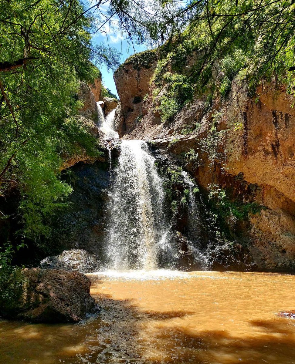 guanajuato's tweet photo. ¡Una parada obligatoria! 😱 Visita #Piñicuaro muy cerca de #Moroleón un lugar para recorrer en compañía de tu familia 😍 Y si te gustan las aventuras extremas no podrás perderte las grandiosas cascadas en la Sierra✨🌳
📸: raullopeztorres3 https://t.co/gRi4OgVuNX