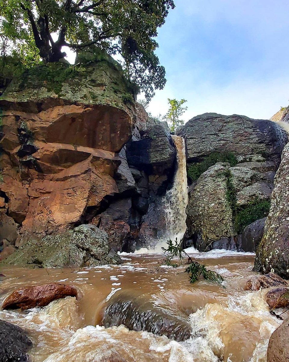 guanajuato's tweet photo. ¡Una parada obligatoria! 😱 Visita #Piñicuaro muy cerca de #Moroleón un lugar para recorrer en compañía de tu familia 😍 Y si te gustan las aventuras extremas no podrás perderte las grandiosas cascadas en la Sierra✨🌳
📸: raullopeztorres3 https://t.co/gRi4OgVuNX
