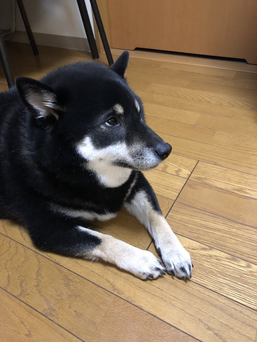 足洗い Twitter Search 足洗い Twitter Search