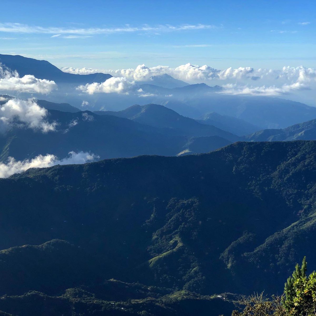 BukapTravels's tweet photo. La #SierraNevada de #SantaMarta es el sistema montañoso más alto del mundo en la zona tropical, donde encontramos todos los pisos térmicos desde cálidas playas hasta glaciales.
Hace unas semanas estuvimos a 2.900 msnm y nos regaló estas vistas impresionantes. #Minca #Colombia https://t.co/mviHtP5Mjw