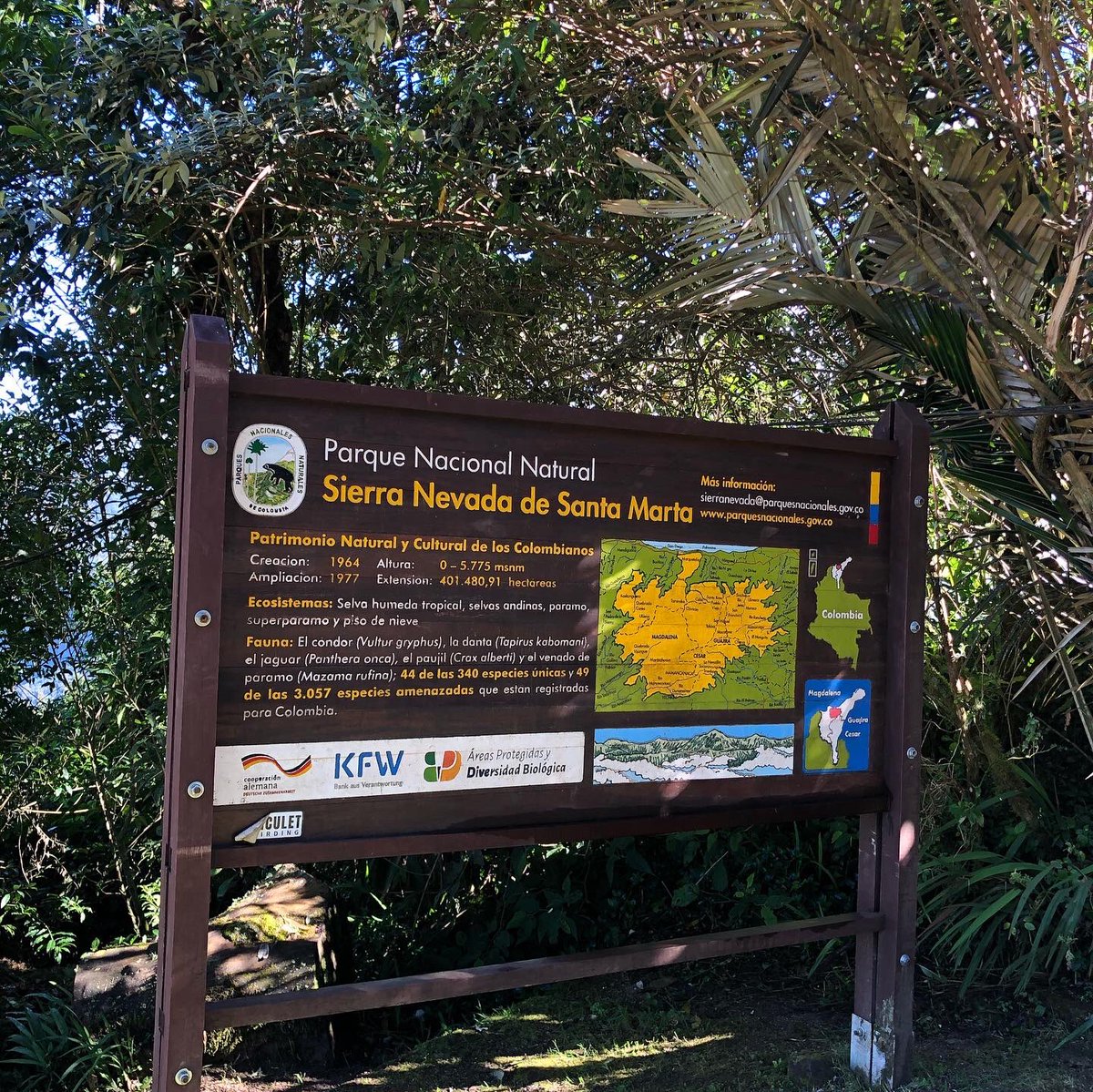 BukapTravels's tweet photo. La #SierraNevada de #SantaMarta es el sistema montañoso más alto del mundo en la zona tropical, donde encontramos todos los pisos térmicos desde cálidas playas hasta glaciales.
Hace unas semanas estuvimos a 2.900 msnm y nos regaló estas vistas impresionantes. #Minca #Colombia https://t.co/mviHtP5Mjw