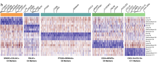 5/11 We identified tissue-shared and tissue-specific cluster markers with GLMM regression, fitting effects for clusters, donors, and tissues into one model. Not all clusters had shared markers across all tissue. Here are five that did: