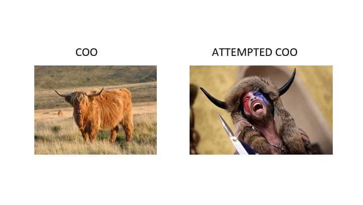 tisch - stay at home don't be typhoid mary. #BLM tweet media