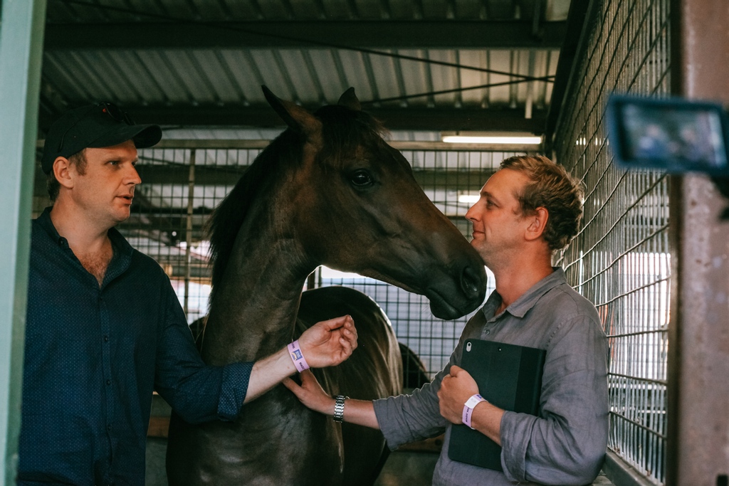 I guess love at first sight really is a thing... 😍

Send me a DM if you are interested in this I Am Invincible x Calming Influence filly 🐴

<a href="/yarramanpark/">Yarraman Park Stud</a> <a href="/MagicMillions/">Magic Millions</a> <a href="/BBakerRacing/">Bjorn Baker Racing</a> <a href="/anz_news/">ANZ News</a> @TDNAusNZ 

#magicmillions2021