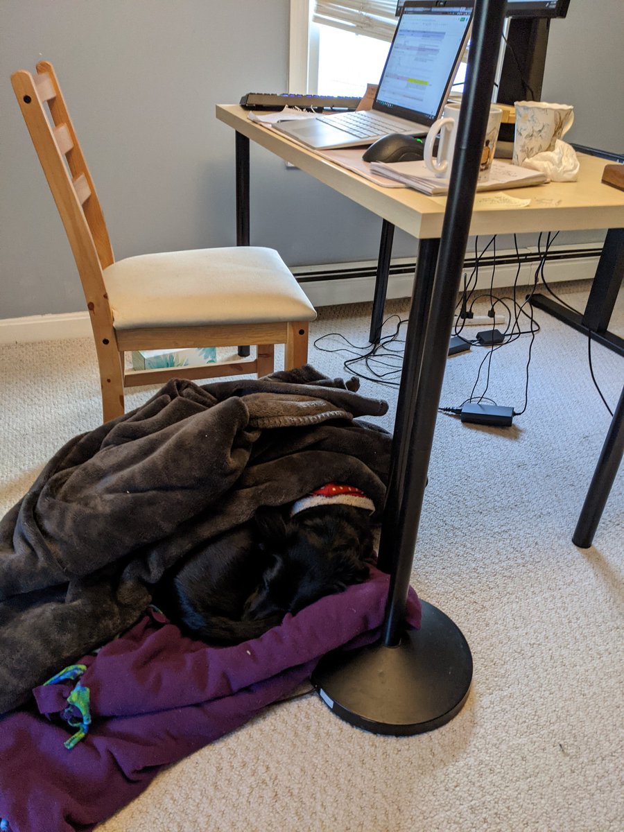 bee_zea's tweet photo. Even though I haven't unpacked since moving, I set up my desk to ensure I can efficiently #worksmarter from home! #AutonomousNewYearResolution https://t.co/fSp7aI90Gf