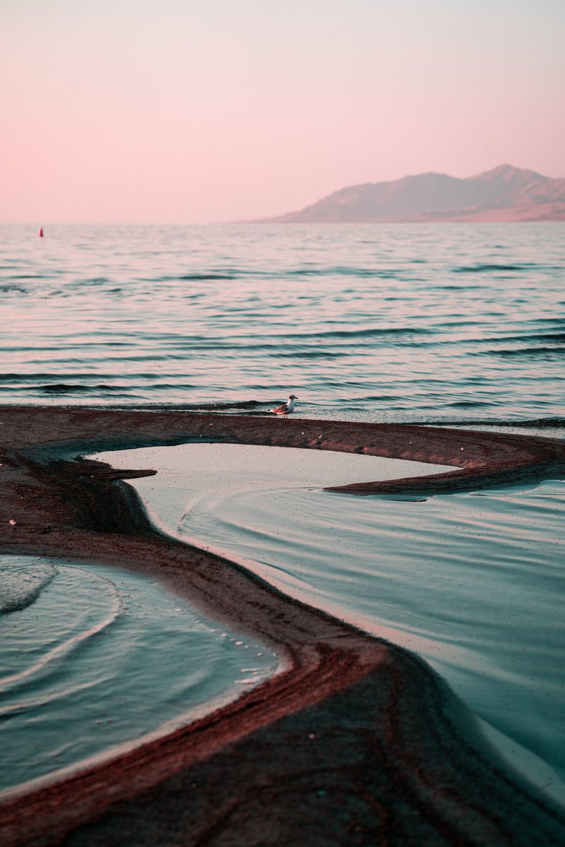 TannerLund's tweet photo. It's another #PortfolioDay! I'm Tanner Lund and I'm a Southern Utah based photographer. I love people and I love nature so I take pictures of both. https://t.co/PcKEJUhNev