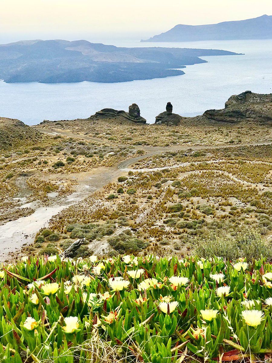 annieoakley270's tweet photo. This view #santorini #greece #travel #2018travel #missingtravel #caldera #acrossfromElGreco #travelblogger #onawalktoFira #SantoriniCaldera #takemeback https://t.co/wdFzvta9X4