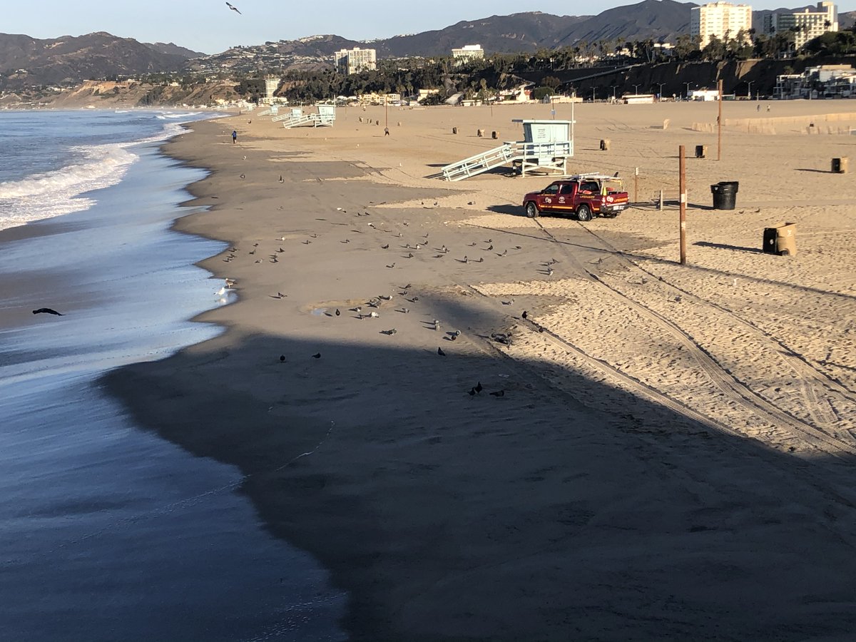 lvonklan's tweet photo. high tide #kingtides by the pier this morning.  calm  but waves still almost at the life guard station.   What will #stormsurge and #risingsealevel bring? @smdailypress @laclimateleader @climateactionsm #CitizenScience @TheCACoast https://t.co/kWXPzw487V