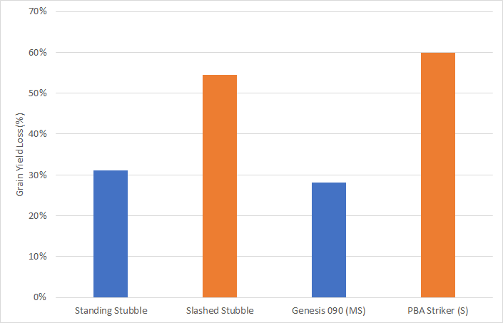 Inter-row sowing chickpeas into slashed stubble increases yield losses due to ascochyta blight almost as much as choosing a more susceptible variety. Results from <a href="/GRDCSouth/">GRDC South</a> <a href="/VicGovAg/">Agriculture Victoria</a> Dooen site. <a href="/JasonBrand/">SouthernPulse</a> <a href="/kbhobbo/">Kristy Hobson</a> <a href="/DMAg_consultant/">Matt Witney</a>