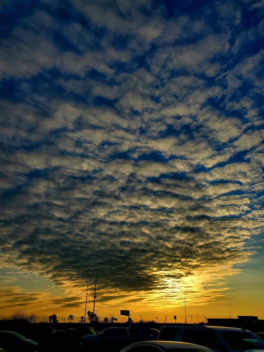AngelowPromo's tweet photo. Hermoso atardecer en Laredo, Texas.
Y aparte nubes aborregadas.
#HolaLaredo #Angelow #DeLaredo #nuevolaredo #sunsetlovers #sunsetphotography #sunsetlover #sunsets_captures #sunsetwithclouds https://t.co/xPlQQg3pWu