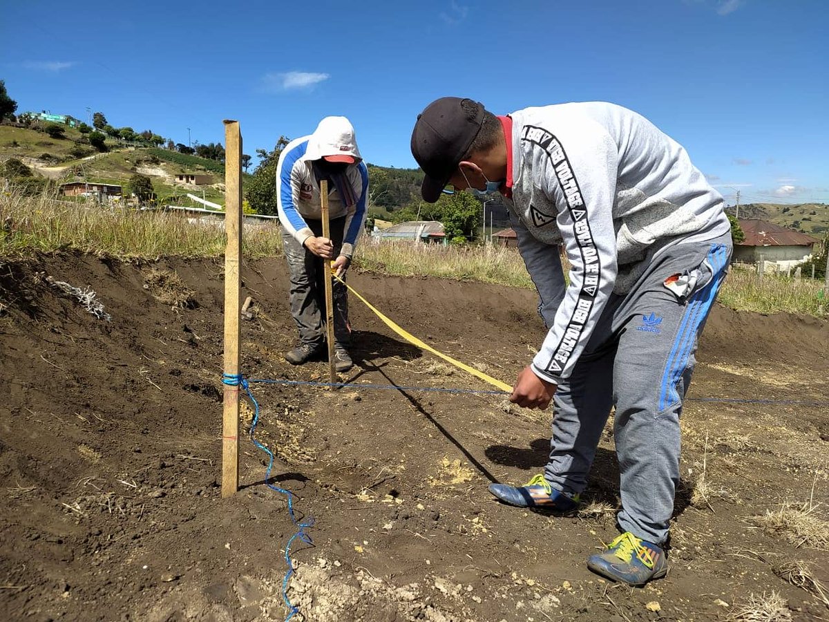 proeivan's tweet photo. Avance. Empezamos una nueva fase en el proyecto. Construcción camino de acceso etapa II. 

Ya va tomando forma la Biblioteca de la Creatividad.

Si quieres ser parte e impulsar este proyecto, te invitamos a compartir y/o invertir en:
 https://t.co/CcpQjwVZJa https://t.co/FYzpAFvk9e