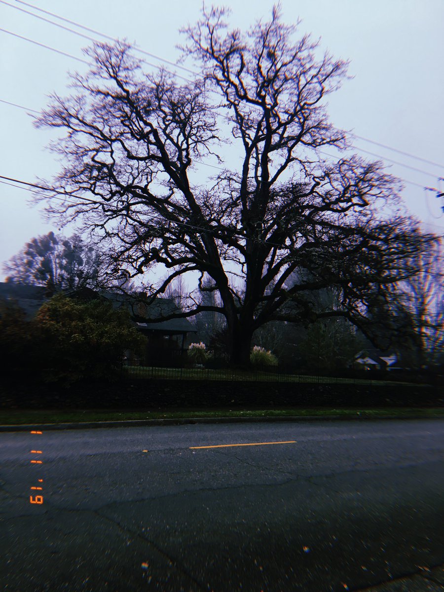 Jaxx_Horror's tweet photo. @hitRECordJoe Down the street from where I live https://t.co/5D9WIDoIGG