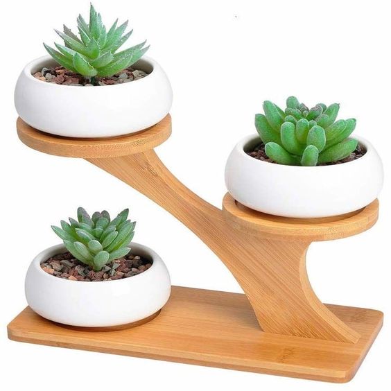 BestSmartGarden's tweet photo. It looks nice.
#HerbPlanters #garden
#BohoRoom #pots
#dreamrooms #ceremicpots
#organicgardening #europe
#Plantdecor #indoorgarden
#bestsmartgarden https://t.co/Medd83eD6m